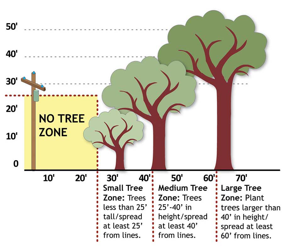 Chart of tree height near power line